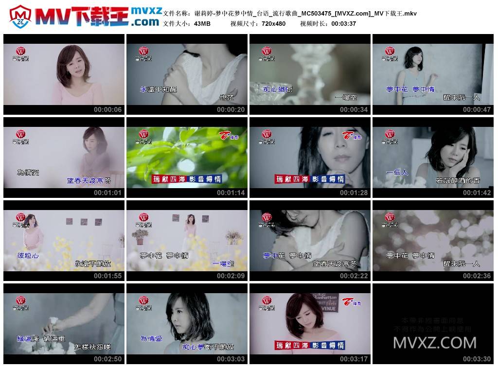 谢莉婷-梦中花梦中情_台语_流行歌曲_MC503475